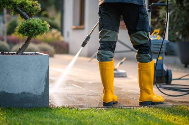 Best Fence Pressure Washing  in Alice, TX